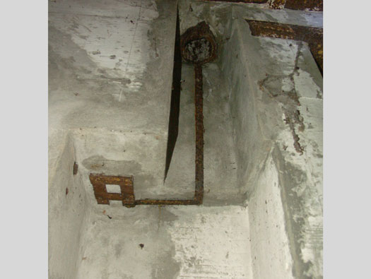 Ro425 ´Kora´, Ro429 'Korola', Ro424 'Käthe', Ile de Ré