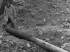 Barrel 1944.