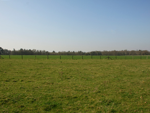 RAF Lymington ALG