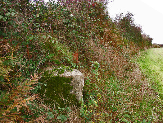 Wn414 Sud de la Rue