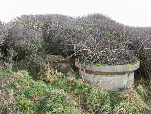 RAF Cleave