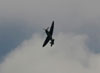 Spitfire.