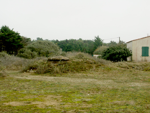 Ro414 La Noue ´Fanny´, K.V.G Süd Ile de Ré