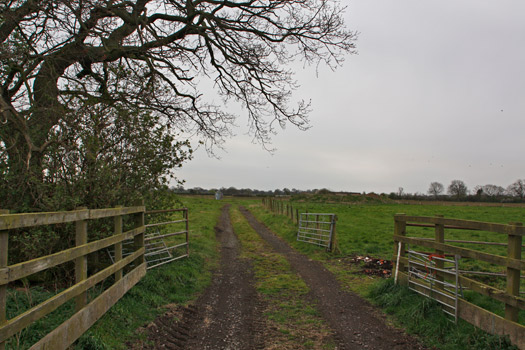 RAF Tholthorpe.