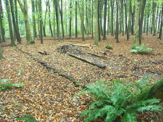 RAF Zeals