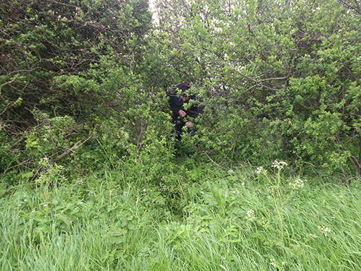 Wn140 Osnabrück, Mont de Couple est