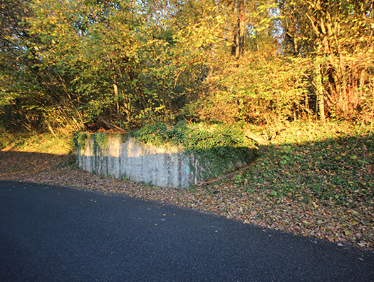 Führerhauptquartier ´Wolfsschlucht 2´ Flakstellung 15