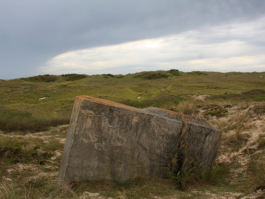 Wn333 St Remy des Landes Plage
