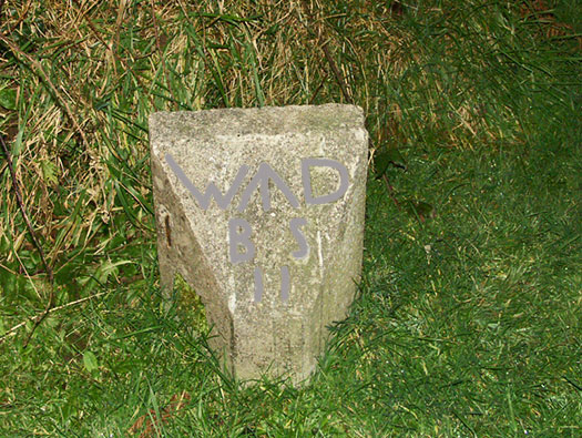 RAF Cleave