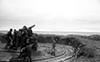 The racer is the outer ring that the guns trail rest on.