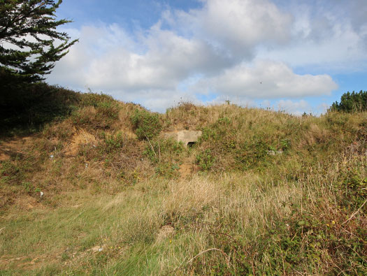 Alderney, M5 Wn 'Hafen-Süd'