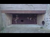 78P9 Pz Schartsnplatte mg34.