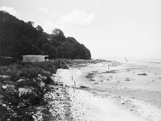 Wn Trou04 Honfleur Plage