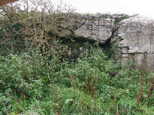 Wn414 Sud de la Rue