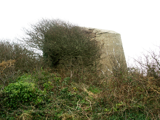 Wn346 Les Asselins la Gouinerie, Omonville la Rogue