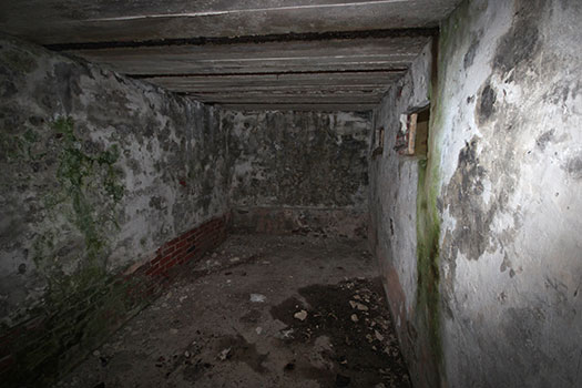 StP Ruine, Mont de Neufchâtel.