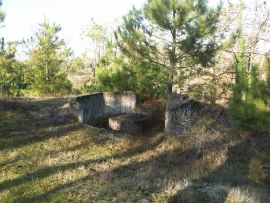 Ro425 ´Kora´, Ro429 'Korola', Ro424 'Käthe', Ile de Ré