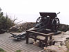 StP207 Fischreiher