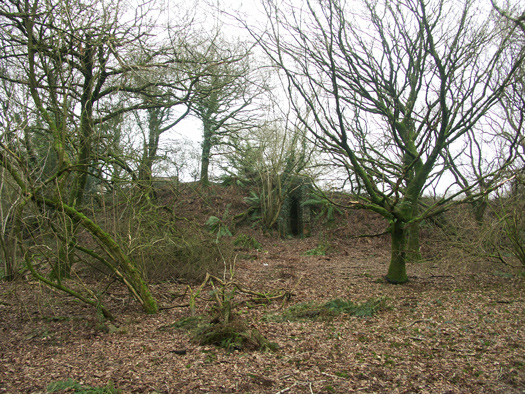 RAF Winkleigh