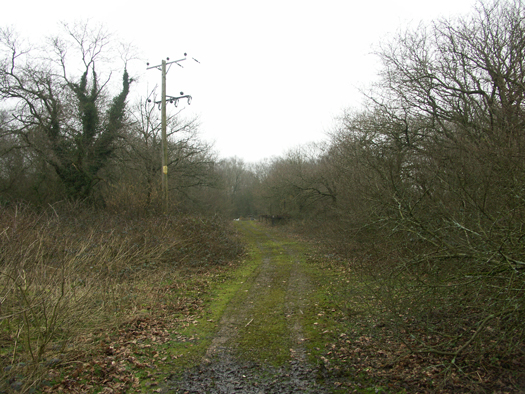 RAF Winkleigh