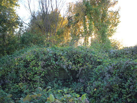 Führerhauptquartier ´Wolfsschlucht 2´ Flakstellung ´B´