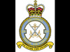225 Squadron Army Co-Operations.