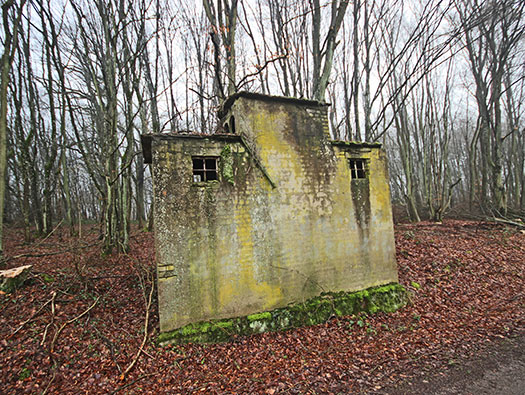 Hobling (A23), Ligne Maginot