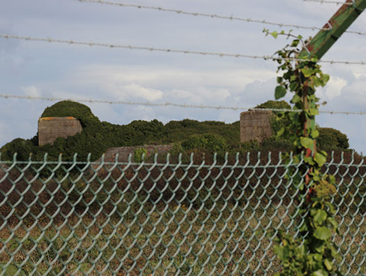 Wn Nz355 Camp de la Torpille