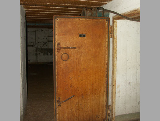 Ro425 ´Kora´, Ro429 'Korola', Ro424 'Käthe', Ile de Ré