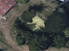 Very green from above.