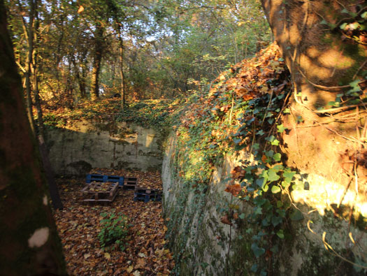 Führerhauptquartier ´Wolfsschlucht 2´ Flakstellung 15