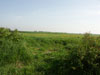 Weapons pit open emplacement facing north.