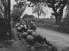 Loading a bomb train.