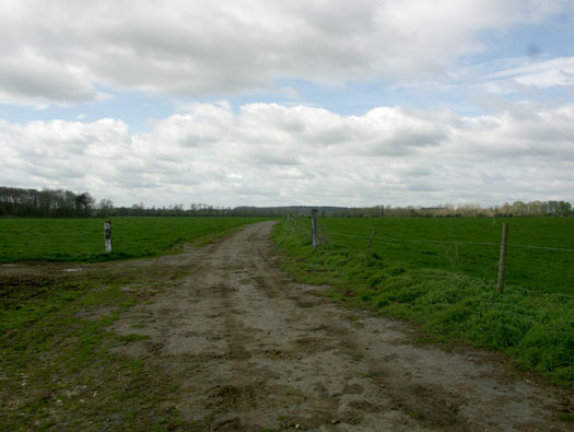RAF Shellingford