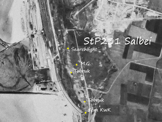 StP231 Salbei Ave Maria