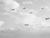 Above the beach with gliders and tugs flying in.