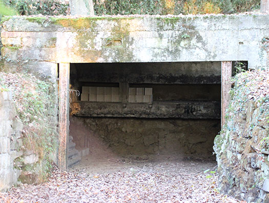 Führerhauptquartier ‘Wolfsschlucht 2’ Flakstellung 15