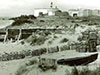1950.