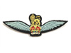 Glider pilots wings.