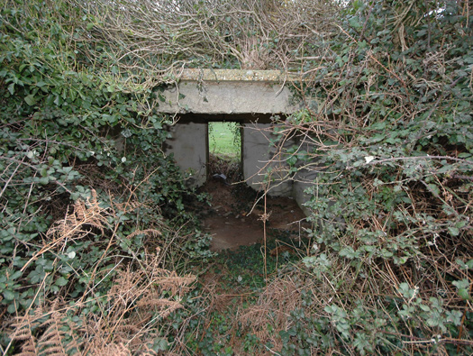Wn346 Les Asselins la Gouinerie, Omonville la Rogue