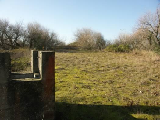 Ro425 ´Kora´, Ro429 'Korola', Ro424 'Käthe', Ile de Ré