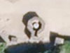 View from above.