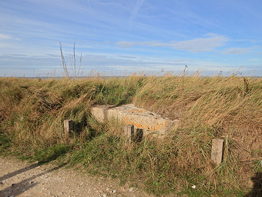 Wn90 Géfosse-Fontenay la Dune