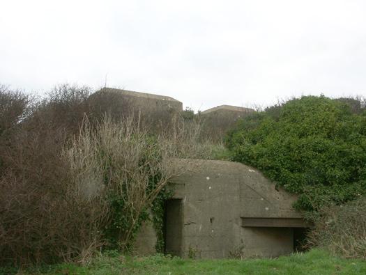 Wn346 Les Asselins la Gouinerie, Omonville la Rogue