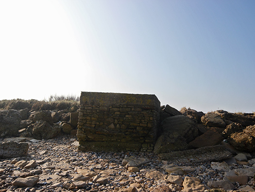 Wn35 Ver-sur-Mer, le Marais