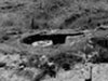 Wn90 Géfosse-Fontenay la Dune