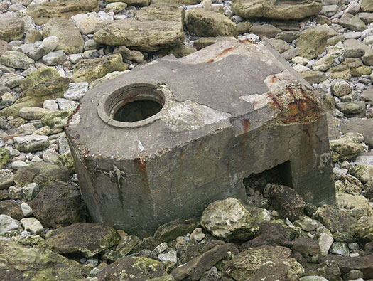 StP207 Fischreiher