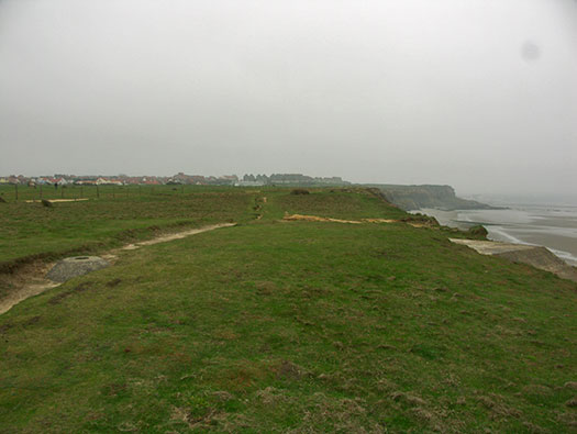 StP207 Fischreiher