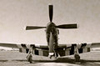 This could be a cannon shell or .50 calibre M2 Browning bullet from a Mustang.