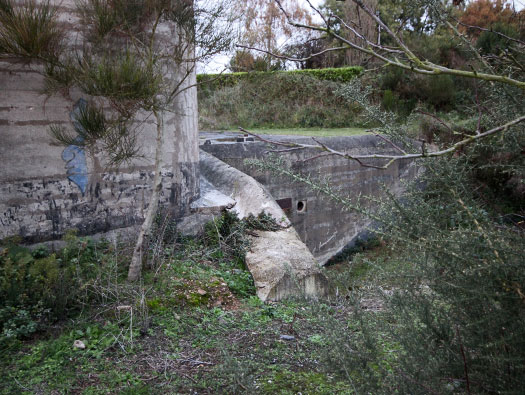 Wn Nz365 Le Grand Marsac